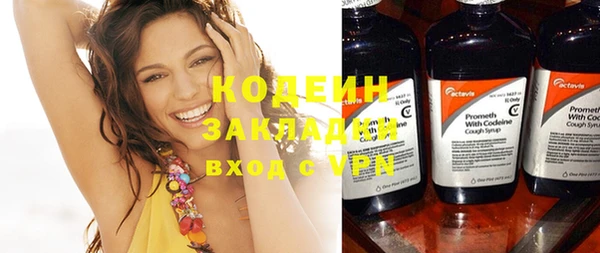 индика Белокуриха
