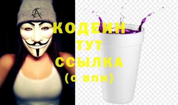 индика Белокуриха