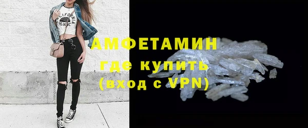 индика Белокуриха