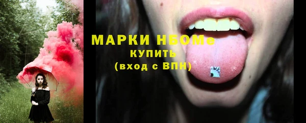 шишки Баксан