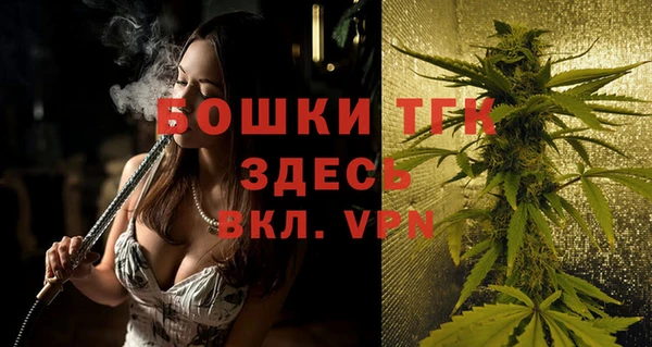 индика Белокуриха