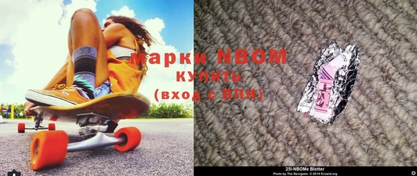 индика Белокуриха