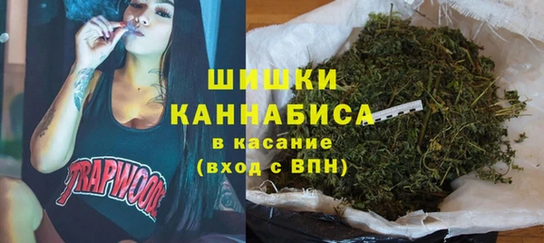 шишки Балахна