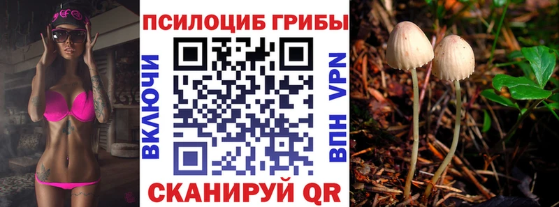 Галлюциногенные грибы мицелий kraken как зайти Шахты